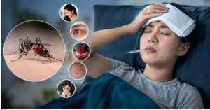 dengue, malaria & typhoid treatment in indore